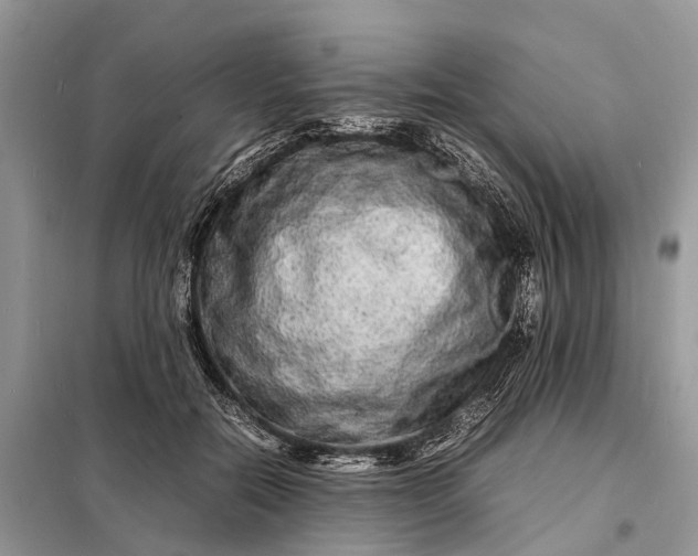 X0000098220554200805081201