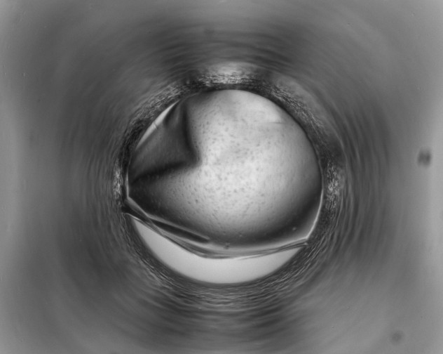 X0000098220555200805081201