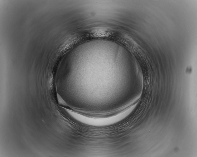 X0000098220556200805081201