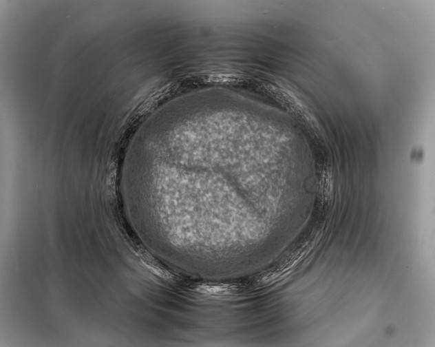 X0000098220557200805081201