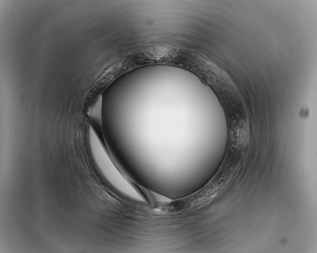 X0000098220558200805081201