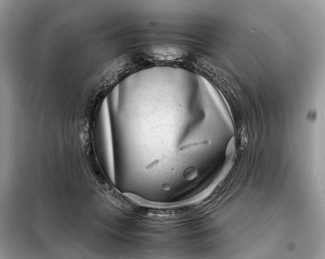 X0000098220559200805081201