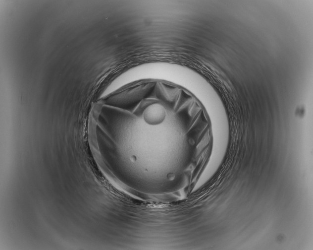 X0000098220560200805081201