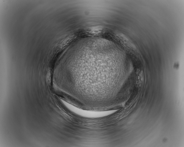 X0000098220562200805081201