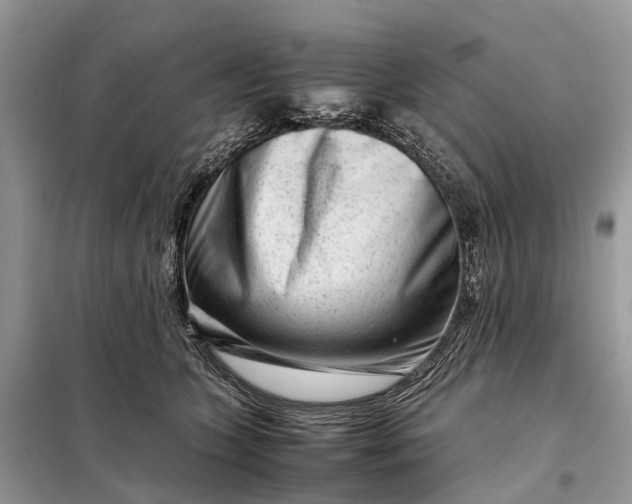 X0000098220563200805081201