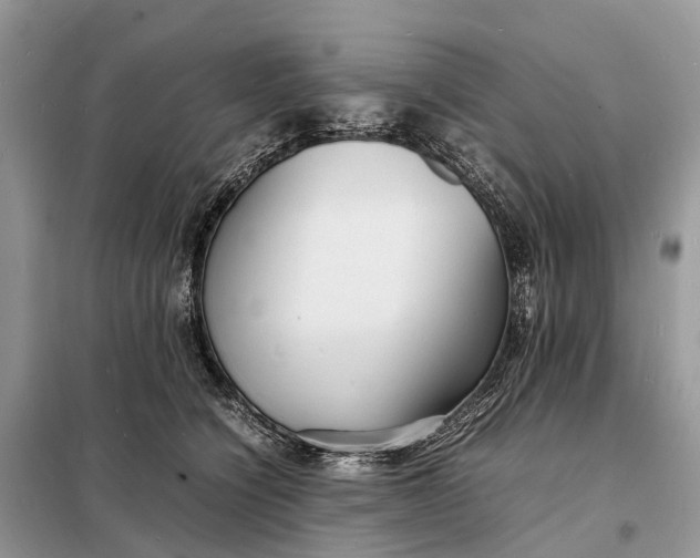 X0000098220564200805081201