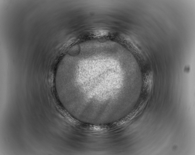 X0000098220565200805081201