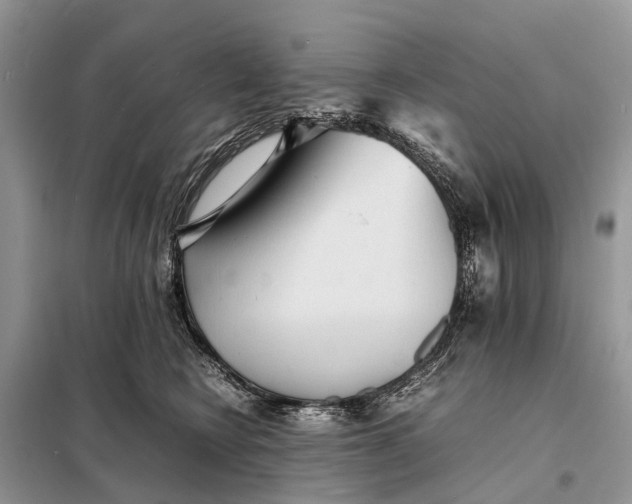 X0000098220566200805081201