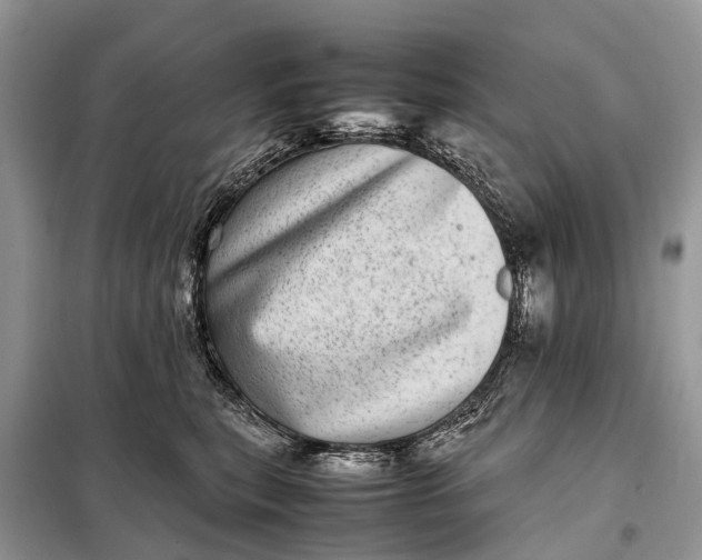 X0000098220567200805081201