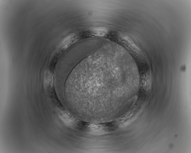 X0000098220568200805081201