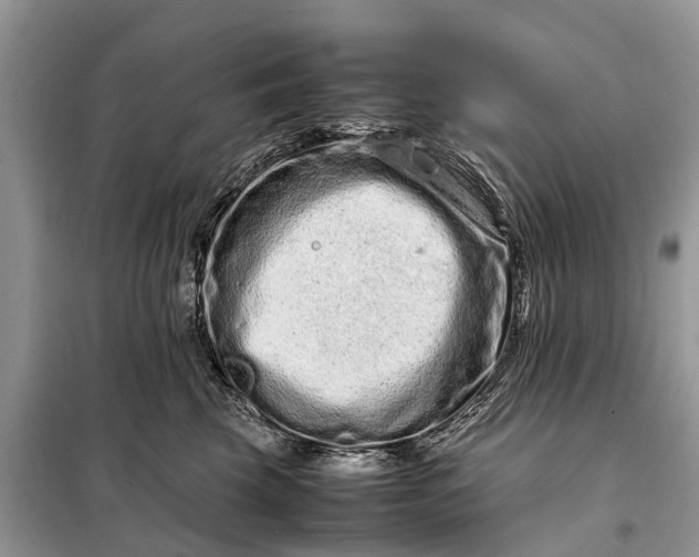 X0000098220569200805081201