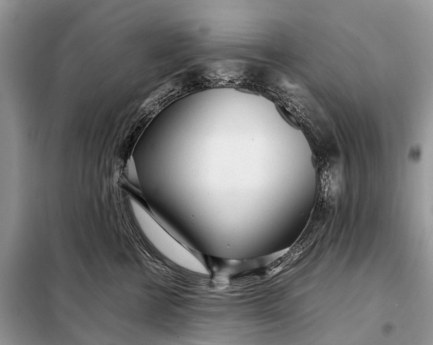 X0000098220570200805081201