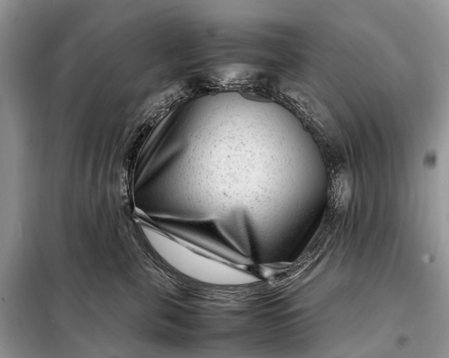 X0000098220571200805081201