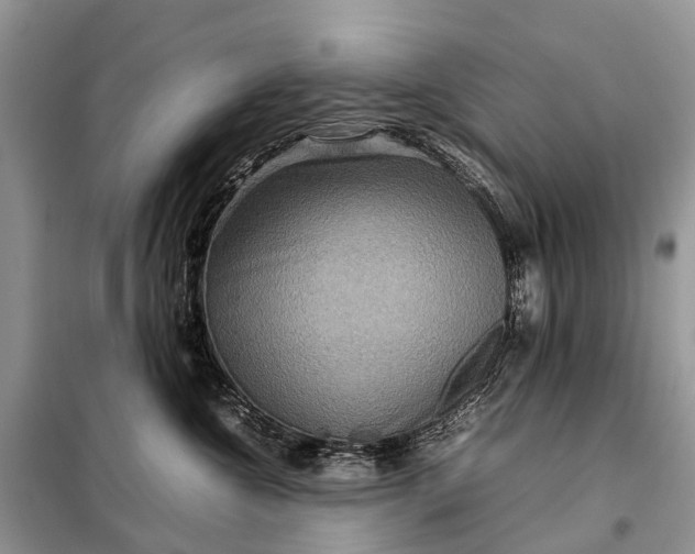 X0000098220572200805081201