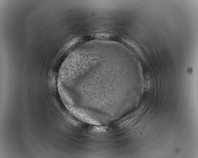 X0000098220573200805081201