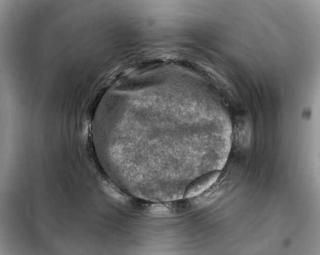 X0000098220574200805081201