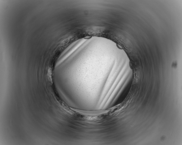 X0000098220575200805081201