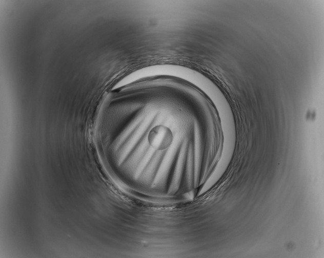 X0000098220576200805081201