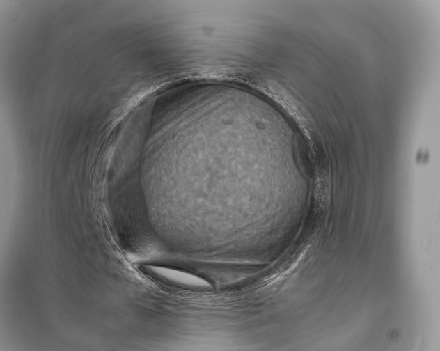 X0000098220577200805081200