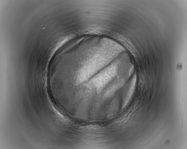 X0000098220578200805081200