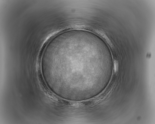 X0000098220579200805081200