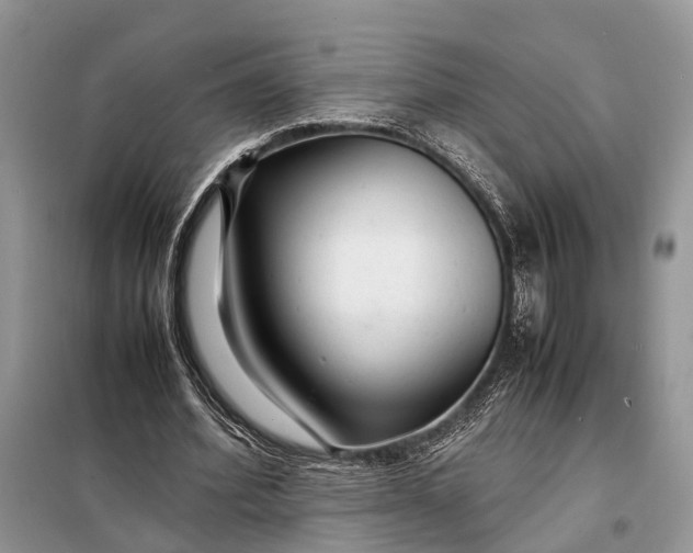 X0000098220580200805081200