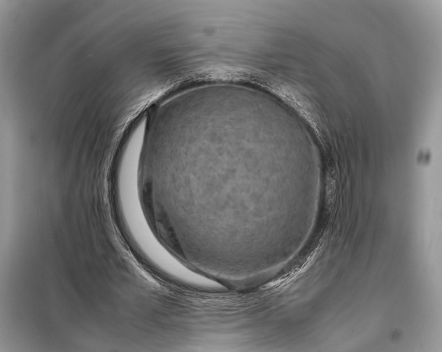 X0000098220581200805081200