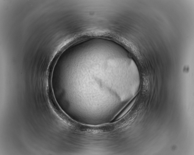 X0000098220582200805081200