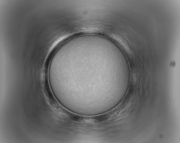 X0000098220583200805081200