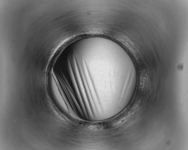 X0000098220584200805081200