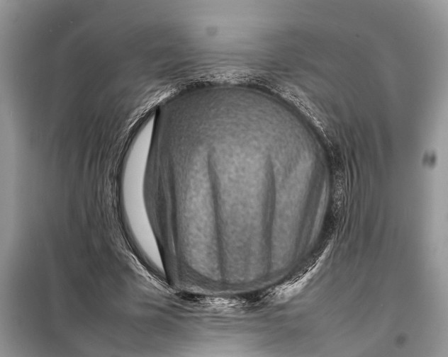 X0000098220585200805081200