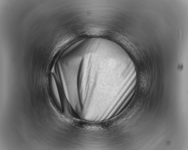 X0000098220586200805081200