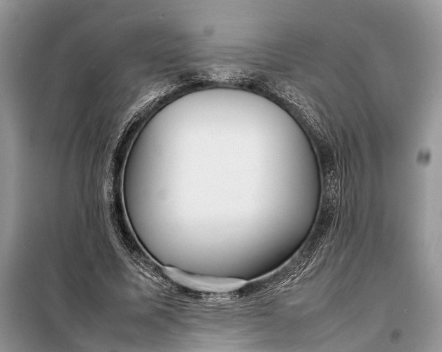 X0000098220587200805081200