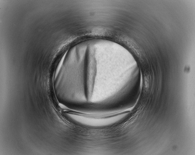 X0000098220588200805081200