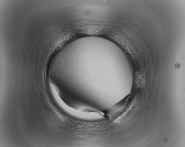 X0000098220589200805081200