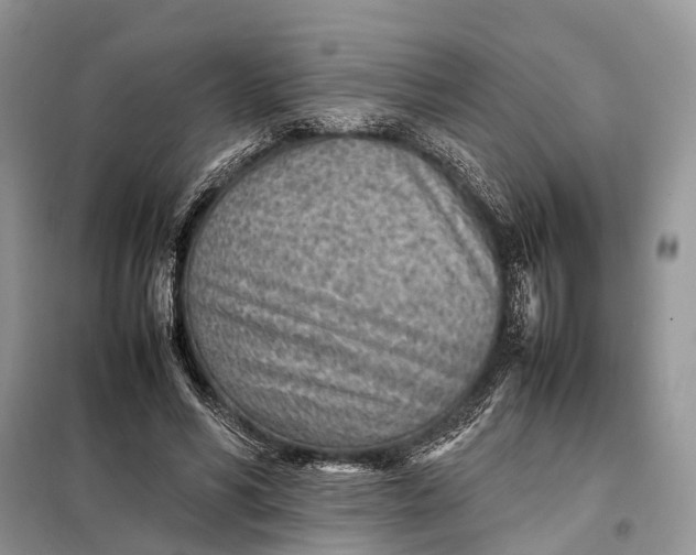 X0000098220590200805081200