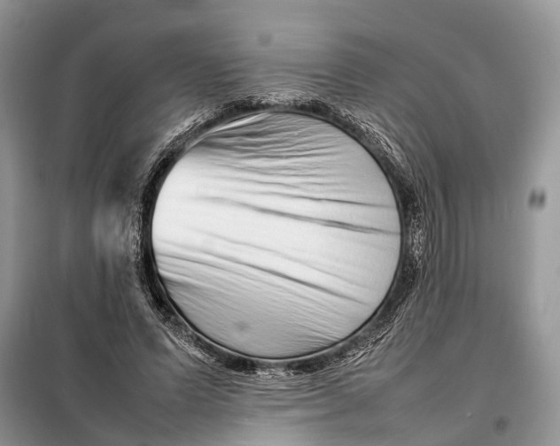 X0000098220591200805081200