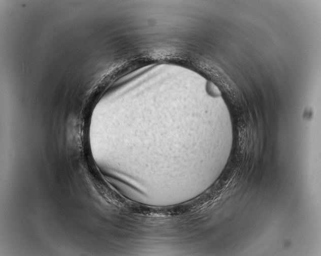 X0000098220592200805081200