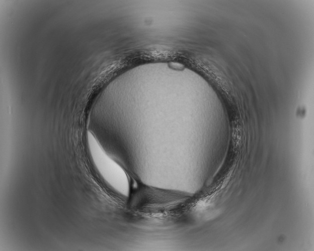 X0000098220593200805081200