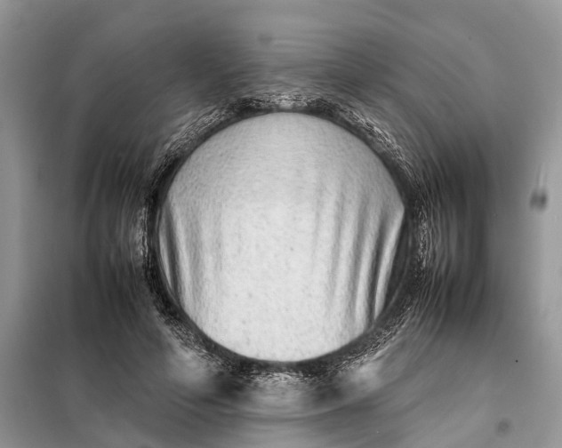 X0000098220594200805081200