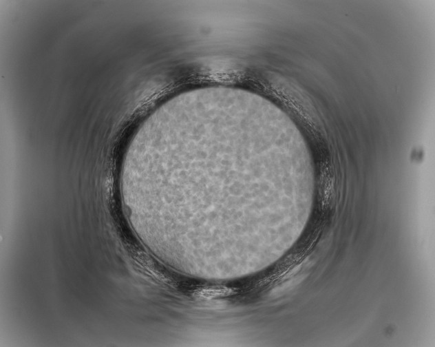 X0000098220595200805081200