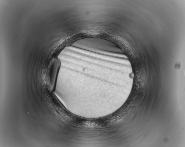 X0000098220596200805081200