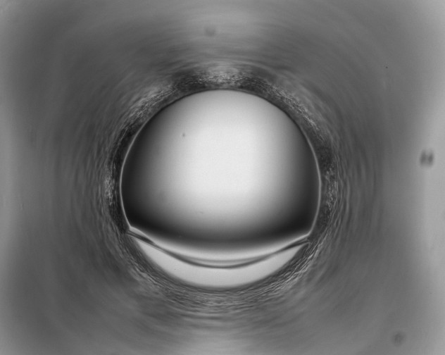 X0000098220597200805081200