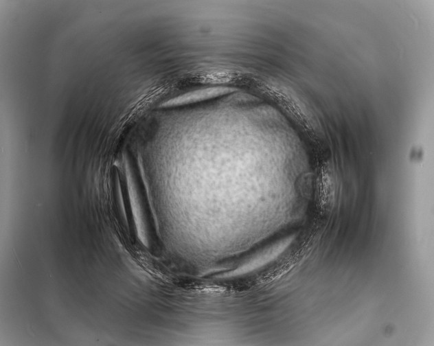 X0000098220598200805081200