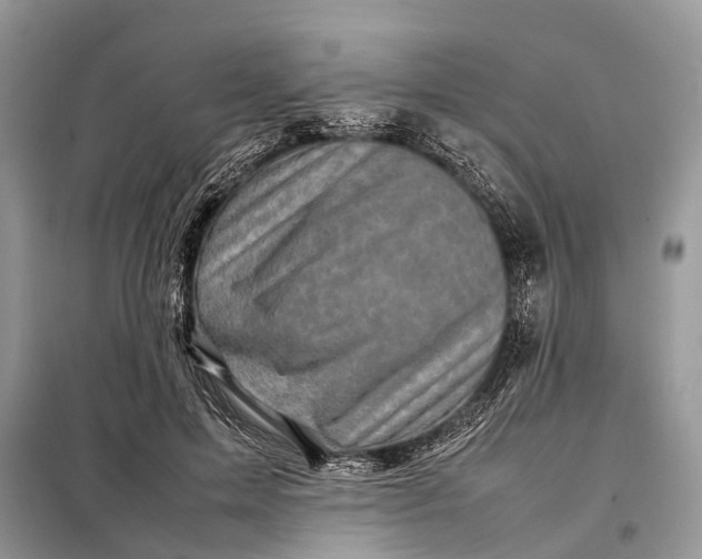 X0000098220599200805081200