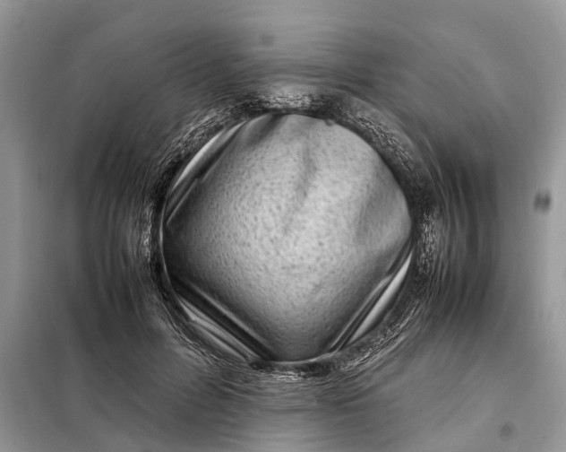 X0000098220600200805081200