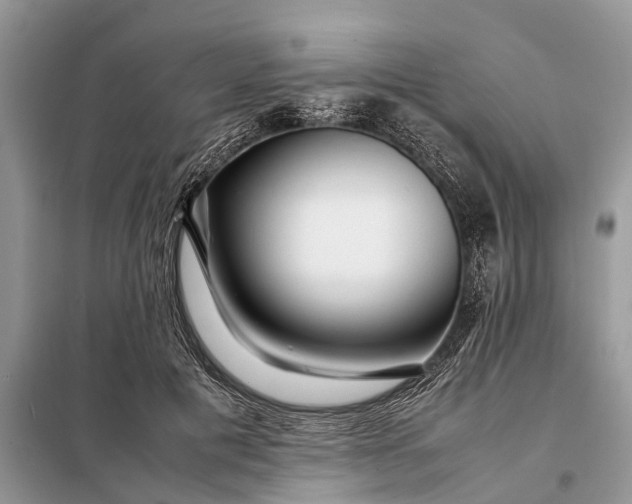 X0000098220601200805081200