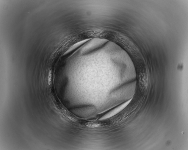 X0000098220602200805081200