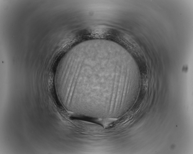 X0000098220603200805081200