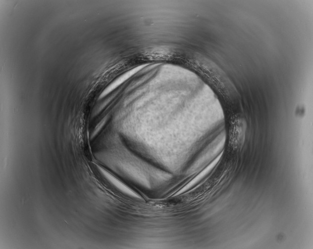 X0000098220604200805081200